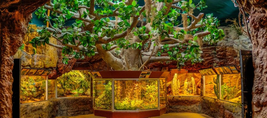 Aquarium-Komplettset online kaufen