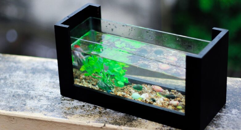 aquarium-becken online kaufen