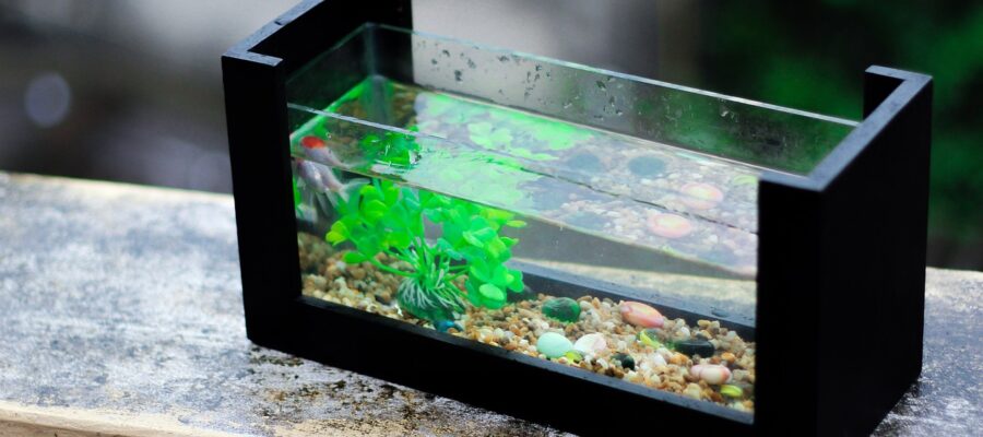 aquarium-becken online kaufen